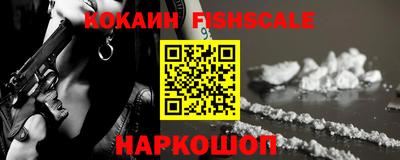 гидра Камышлов