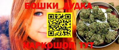 мяу мяу мука Кандалакша