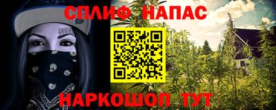 мяу мяу мука Кандалакша