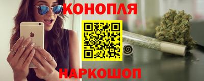 гидра Камышлов