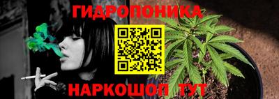 мяу мяу мука Кандалакша