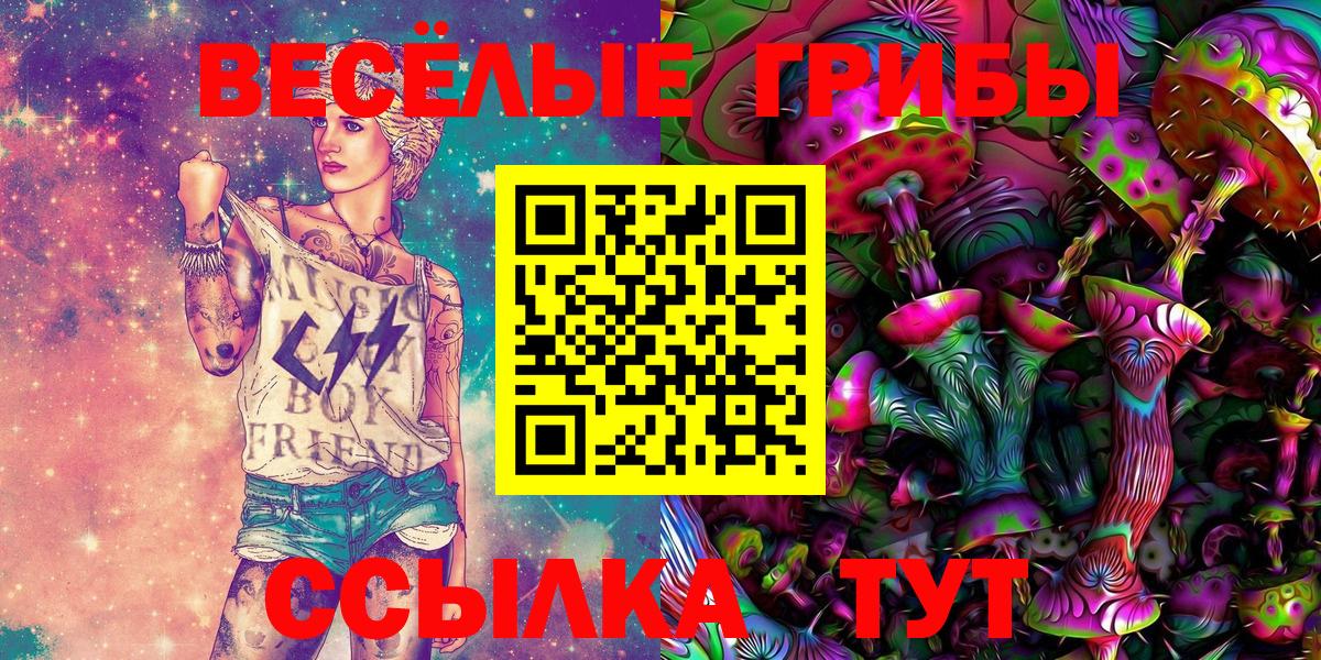 Псилоцибиновые грибы Psilocybine cubensis  магазин продажи   Кудрово  Вход с VPN  Галлюциногенные грибы Psilocybe 