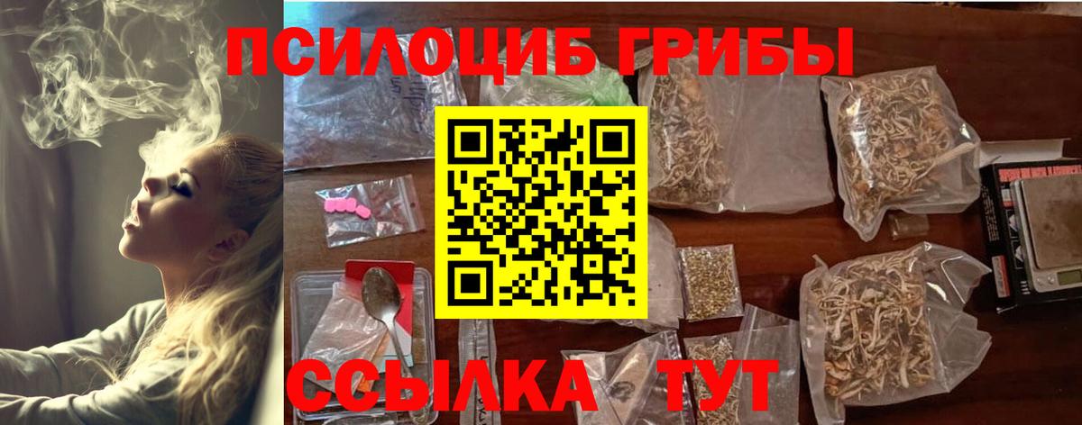 Галлюциногенные грибы MAGIC MUSHROOMS Кудрово